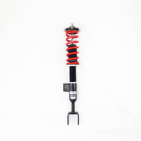 RS-R 17-19 Tesla Model 3 (RWD) (ZVW30) Sports-i Coilovers - 0