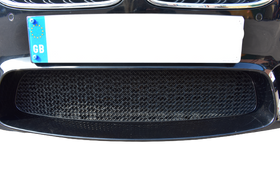 Zunsport BMW M5 F10 - Centre Grille - Black Finish