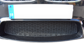 Zunsport BMW M5 F10 Front Grille Set - Silver Finish