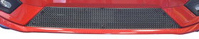 Zunsport Ford Fiesta ST LINE MK8 - Lower Grille - Silver Finish