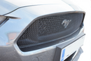 Zunsport Ford Mustang GT - Upper Grille - Black finish-1