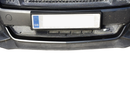 Zunsport Ford Mustang GT - Lower Grille - Silver finish-1