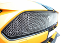 Zunsport Ford Mustang GT Facelift - Upper Grille - Silver finish-1