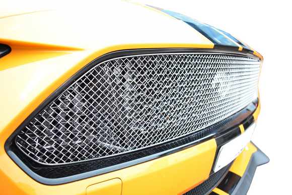 Zunsport Ford Mustang GT Facelift - Upper Grille - Silver finish