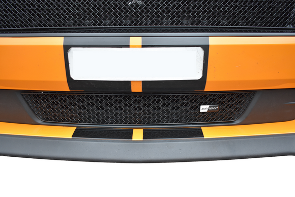 Zunsport Ford Mustang GT Facelift - Lower Grille - Black finish