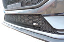 Zunsport Ford Fiesta ST MK8.5 - Lower Grille - Silver Finish-1