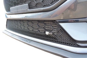 Zunsport Ford Fiesta ST MK8.5 - Lower Grille - Silver Finish