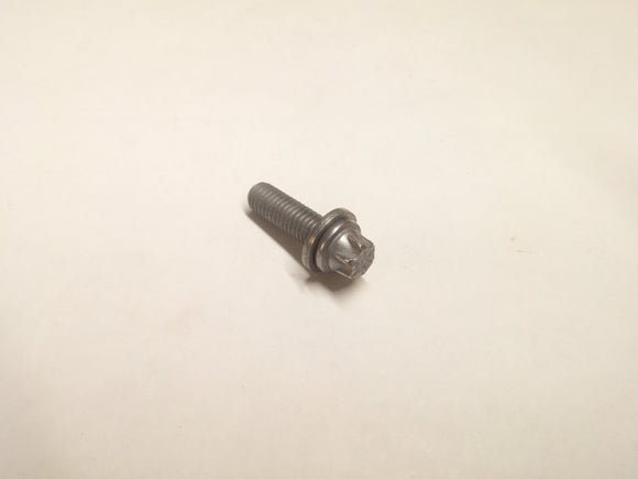 BMW Torx Bolt - Genuine BMW 07129905568