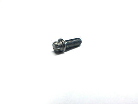 BMW Torx Screw - Genuine BMW 07129902813