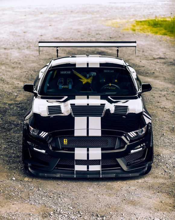 Anderson Composites 15-19 Ford Mustang Shelby GT350 Type-CR Double Sided Carbon Fiber Hood