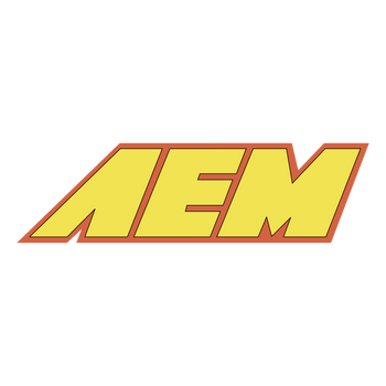 AEM 4 in x 9 in Dryflow Element Filter