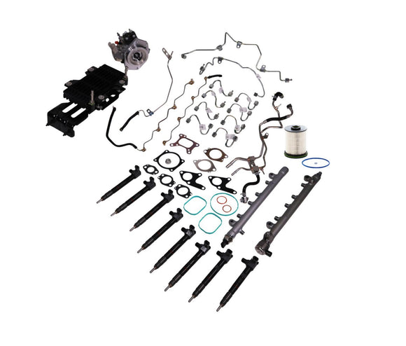 Industrial Injection L5P Fuel Contamination Kit