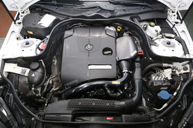 W212 E250 (M274 DE) carbon fiber airbox - 0