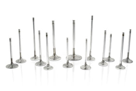 Ferrea VW VR6 R32 34.20mm 5.98mm 102.80mm 20 Deg S-Flo +1mm Comp Plus Intake Valve - Set of 6