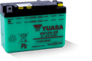Yuasa 6N12A-2D Conventional 6 Volt Battery-1