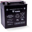 Yuasa YIX30L-BS High Performance Maintenance Free AGM 12 Volt Battery (Bottle Supplied)-1