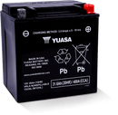 Yuasa YIX30L Maintenance Free AGM 12 Volt Battery-1