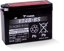 Yuasa YT4B-BS Maintenance Free AGM 12 Volt Battery (Bottle Supplied)-1