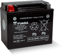 Yuasa YTX12 Maintenance Free AGM 12 Volt Battery-1