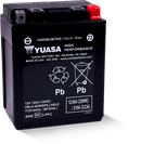 Yuasa YTX14AHL Maintenance Free AGM 12 Volt Battery-1