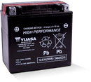 Yuasa YTX14H-BS High Performance AGM 12 Volt Battery (Bottle Supplied)-1