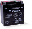 Yuasa YTX20CH-BS High Performance AGM Battery (Bottle Supplied)-1