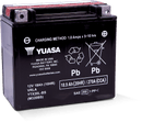 Yuasa YTX20L-BS Maintenance Free AGM 12 Volt Battery (Bottle Supplied)-1
