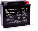 Yuasa YTX20L Maintenance Free AGM 12 Volt Battery-1