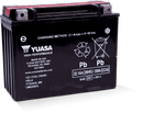 Yuasa YTX24HL-BS High Performance Maintenance Free AGM 12 Volt Battery (Bottle Supplied)-1