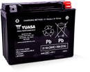 Yuasa YTX24HL Maintenance Free AGM 12 Volt Battery-1