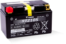 Yuasa YTZ10S Maintenance Free AGM 12 Volt Battery-1