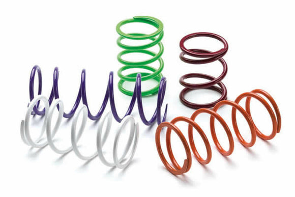 EPI 11-24 Can-Am 800-1000 Commander/400-1000 Outlander/Renegade Primary Spring Black