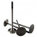 BLOX Racing High Compression Intake Valve Set For K-series DOHC i-VTEC-1