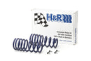 H&R Sport Springs | BMW F15 X5 | F16 X6 (W/ Self-Level)-1