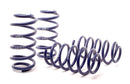Sport Springs Passat 4motion Sedan/Wagon 2000-05-1