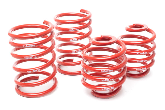 H&R 85-91 BMW 325e/325i/325is E30 Race Spring (Non Cabrio/Tuner Fitment)