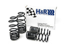 Sport Springs Passat Sedan VR6 1993-94-1