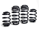 Sport Springs B5.5 Passat Sedan & Wagon VR6 & TDI 2001-05-1