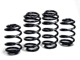 Sport Springs B5.5 Passat Sedan & Wagon VR6 & TDI 2001-05