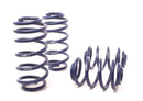 Sport Springs Passat Sedan & Wagon VR6 & TDI 1998-01-1