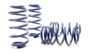 Sport Springs Passat Sedan & Wagon W8 2002-05-1