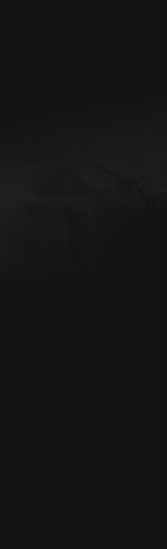 SHW 17-20 Porsche Panamera 4 w/Code 1KF/18in Wheel Left Rear Smooth MB Brake Rotor (971615601F)