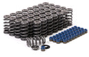 GSC Power-Division Valve Spring & Ti Retainer Kit: Audi R8 V10-1
