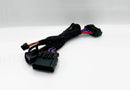 Harness for FlexFuel Kit-1