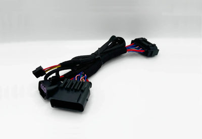 Harness for FlexFuel Kit