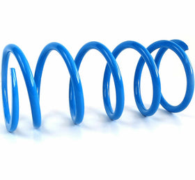 EPI 16+ Can-Am 800-1000 Maverick/Defender/Commander/ X3 Primary Spring Blue
