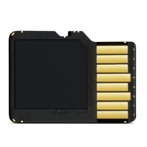 Garmin 16 GB microSD Class 10 Card with SD Adapter