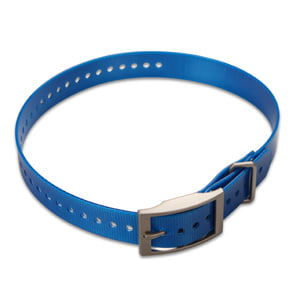 Garmin 1-inch Collar Strap - Blue