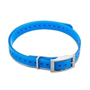 Garmin 3/4" Square Buckle Collar Strap (Blue)