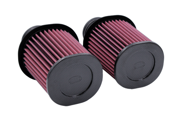 BMC 09-12 Audi R8 5.2L V10 Quattro / R-Tronic Cylindrical Carbon Racing Filter Induction System Kit